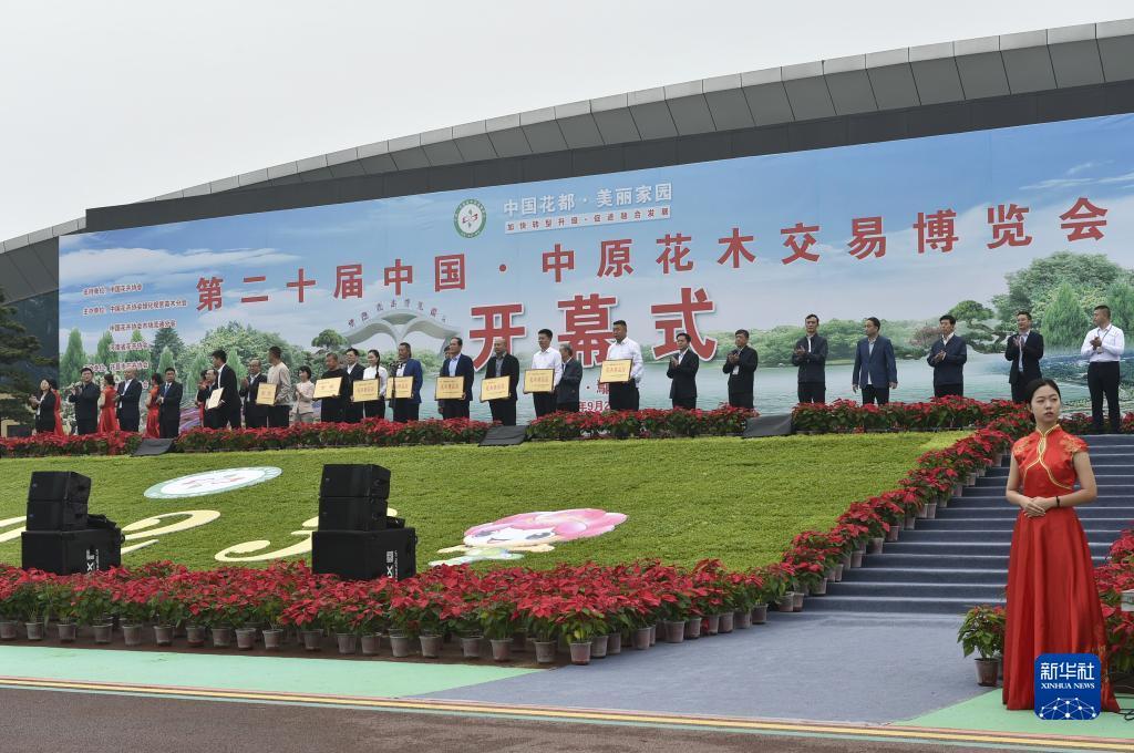 多宝游戏盒官网